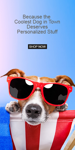 Shop Cool Dog Gear