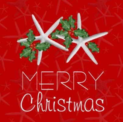 Starfish and Holly Tropical Christmas Greeting Card Design