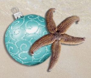 Christmas Starfish Holiday Cards