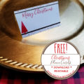 Free Printable Download Christmas Place Cards | www.NauticalBoutique.Co